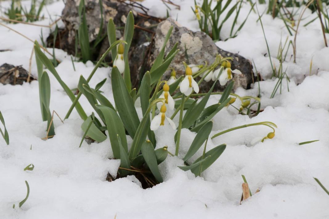 Konya'da yeni haftada hava nasıl olacak? Çöl sıcakları geliyor! 6